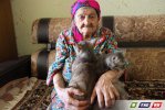 Старушке помогли при сердечном приступе кошки