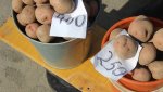 Цена ведра домашней картошки в Гае достигла «исторического максимума»