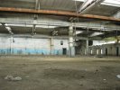 Стрельба на руинах завода (фото+видео)