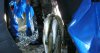 Чемпионат по подводной охоте на Ирикле (фото+видео)