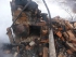 В Новоактюбинском сгорел человек