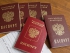 Ложный донос за потерянный паспорт