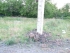 У огородников будет вода