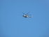 Над городом пролетели 3 военных вертолета