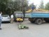 С арбузами и дынями разобрались