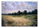 Художнику Анатолию Колодезному - 65 лет