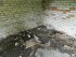 Дом ужасов на Днепропетровской