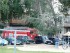 Пожарные приехали: подгорела еда в кастрюле