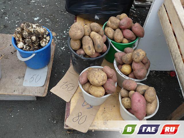 Сколько весит ведро картошки. Ведро картошки. Ведро картошки рынок. Картофель в ведре. Килограмм картошки.
