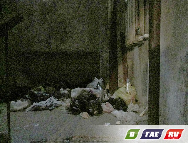 Обще(е)житие: быт без правил