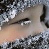 1-11 классы сегодня не учатся