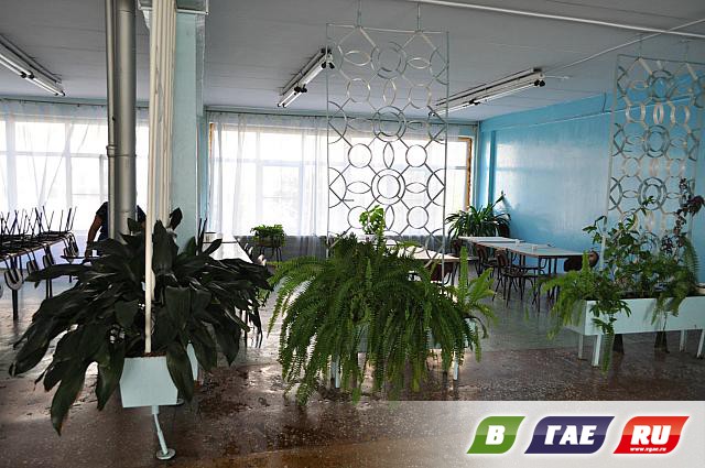 На ГЗОЦМе - столовая в зеленых тонах