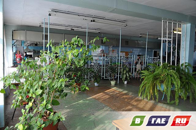 На ГЗОЦМе - столовая в зеленых тонах