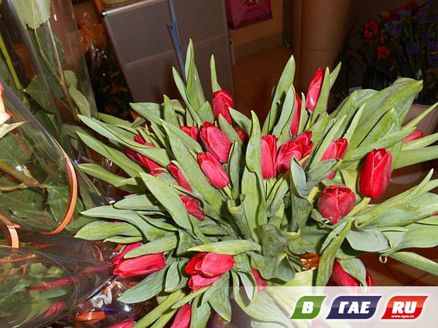 Цветы любой ценой