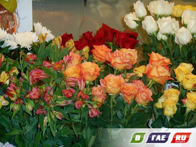 Цветы любой ценой