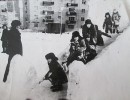 Любимый мой дворик, ты очень мне дорог
