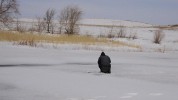 &laquo;Ледовая&raquo; история Ивана Петровича