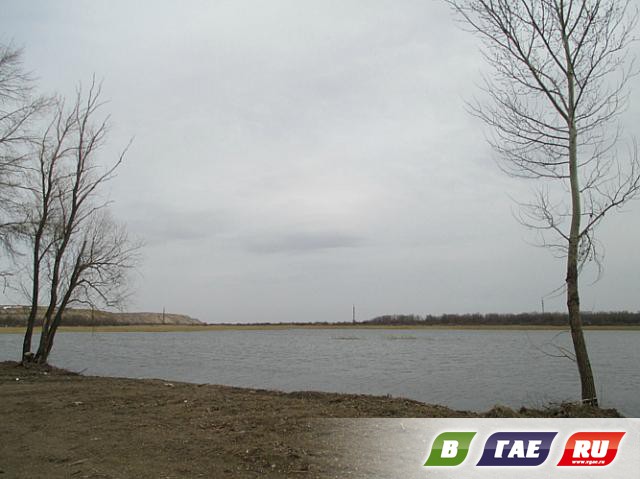 Пруд наполнился водой