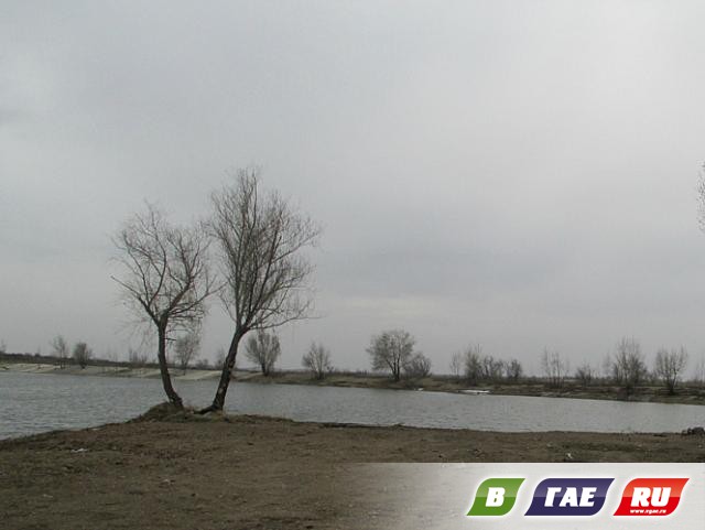 Пруд наполнился водой