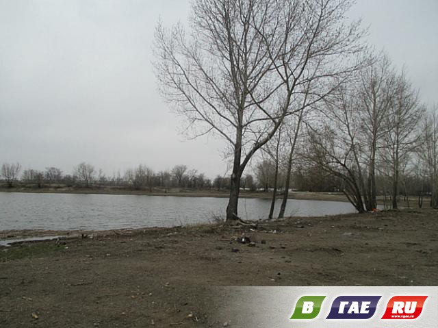 Пруд наполнился водой