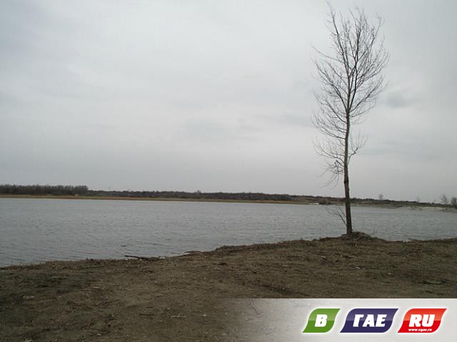 Пруд наполнился водой