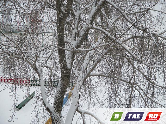 Апрель: Гай в снегу