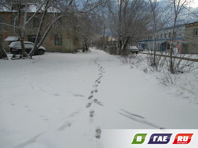 Апрель: Гай в снегу