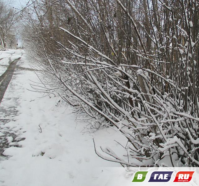 Апрель: Гай в снегу