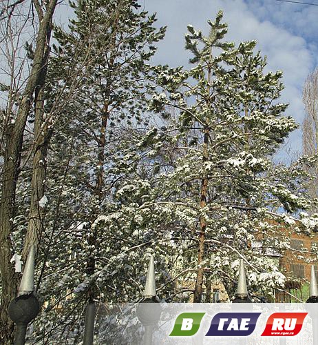 Апрель: Гай в снегу
