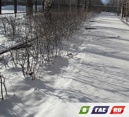 Апрель: Гай в снегу