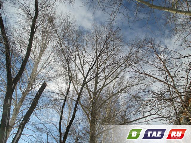 Апрель: Гай в снегу