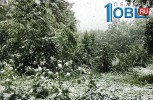 А в Челябинской области выпал снег