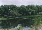 В воде – соли тяжелых металлов, нефтепродукты