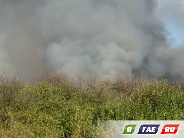 В СНТ «Обогатитель» выгорело 6 гектаров