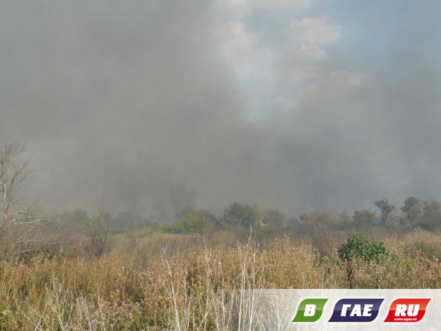 В СНТ «Обогатитель» выгорело 6 гектаров