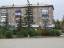 Диагноз засохшей елочки на площади