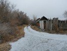 Мода на сады - огороды возвращается