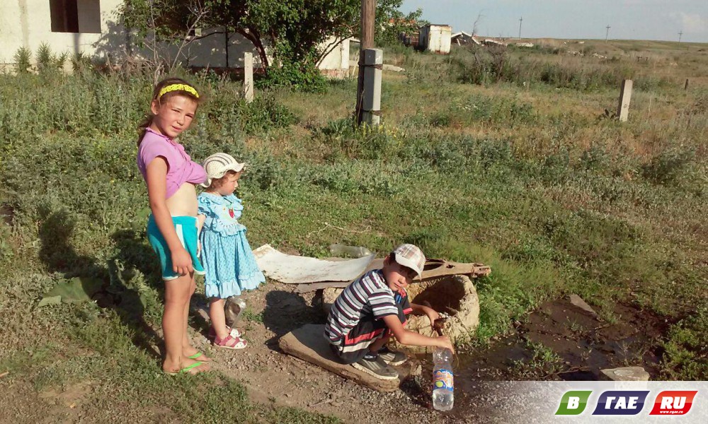 Погода село новониколаевка астраханская область. Новониколаевка Гайский район. Новопетропавловка Гайский район. Новониколаевка Гайский городской округ. Директор КФХ С.Новониколаевка Гайского района Оренбургской области.