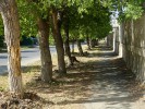 Территория больницы преображается на глазах