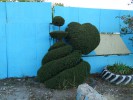 Из кустов вышел медведь