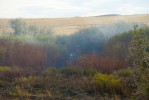 Шлифовали рельсы - уронили искру