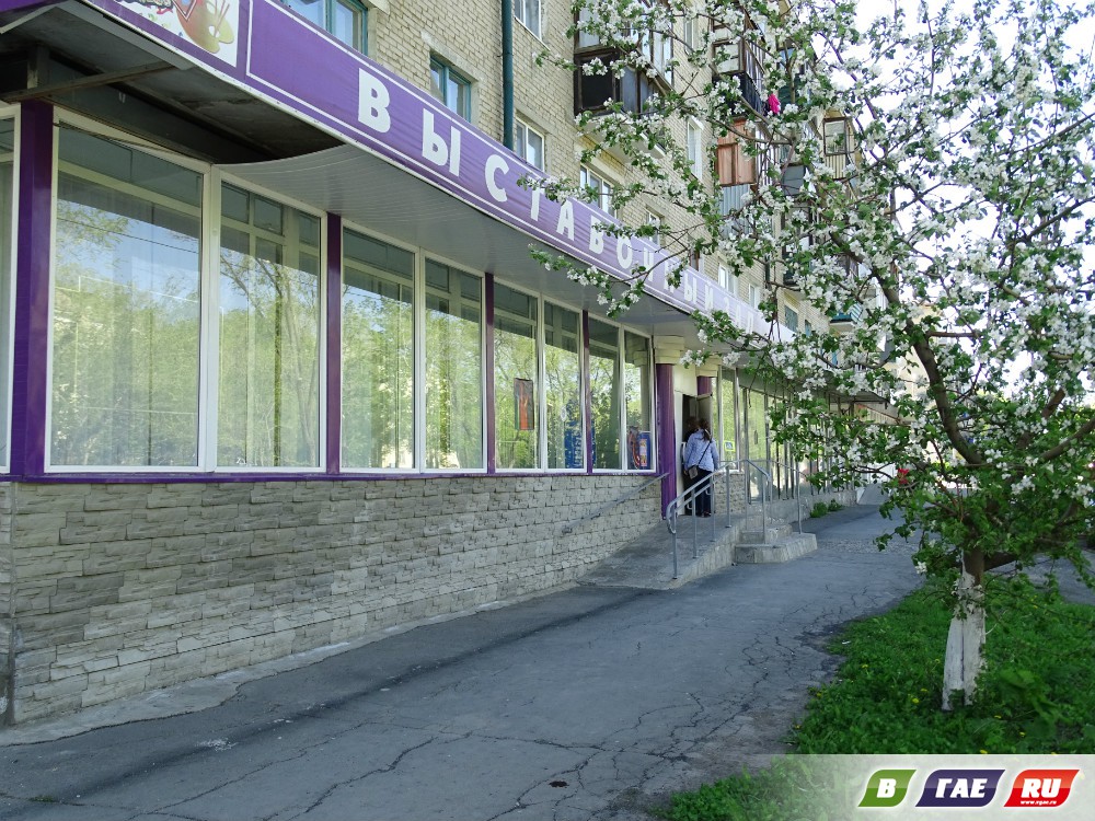  «Радуга творчества» радовала и восторгала гайчан