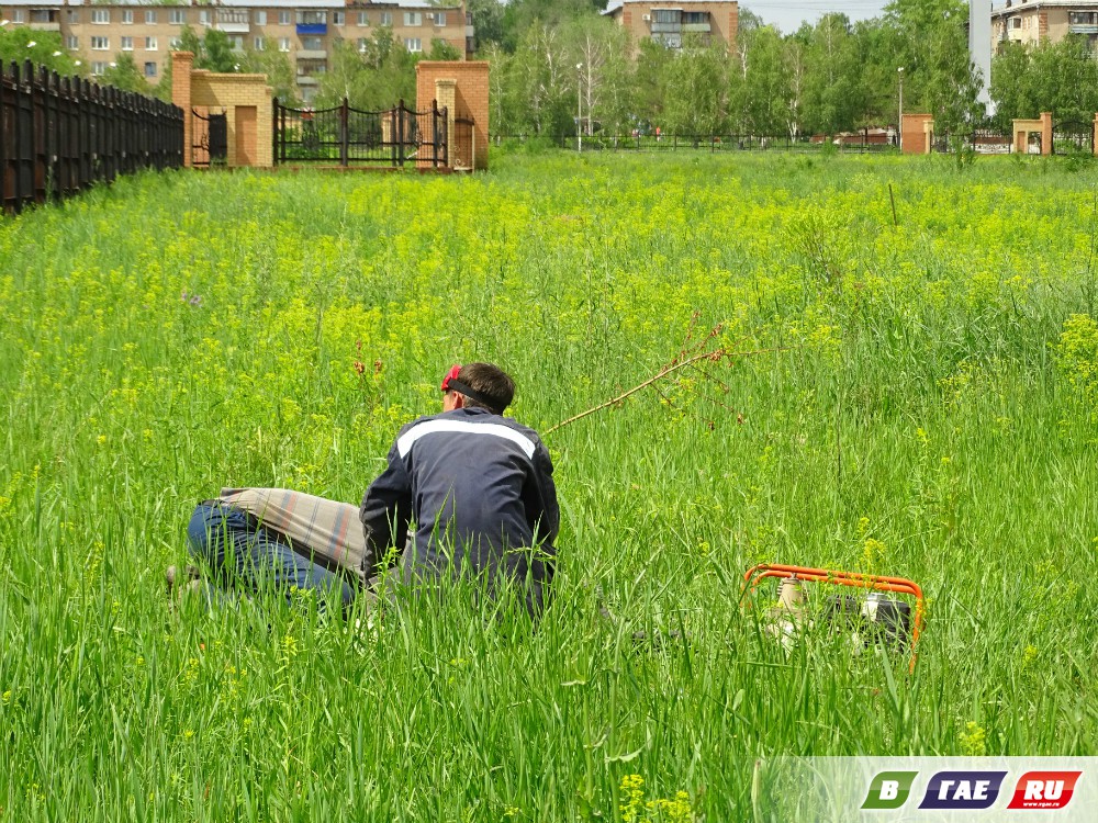 Гайчане опасность проигнорировали