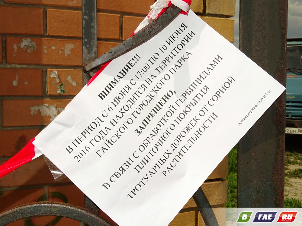 Гайчане опасность проигнорировали