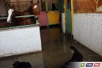 Конно-спортивный клуб затопило питьевой водой