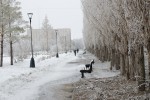 Весенне-зимний Гай от Юрия Гутмана