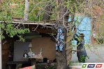 Пилы визжали, собаки лаяли, Булка  целовалась