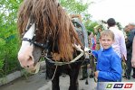 Состоялся Крестный ход из Гая в Херсон