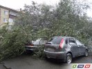 На Советской дерево рухнуло на три автомобиля