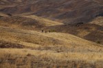 Гайские девушки лучшие в спортивном ориентировании